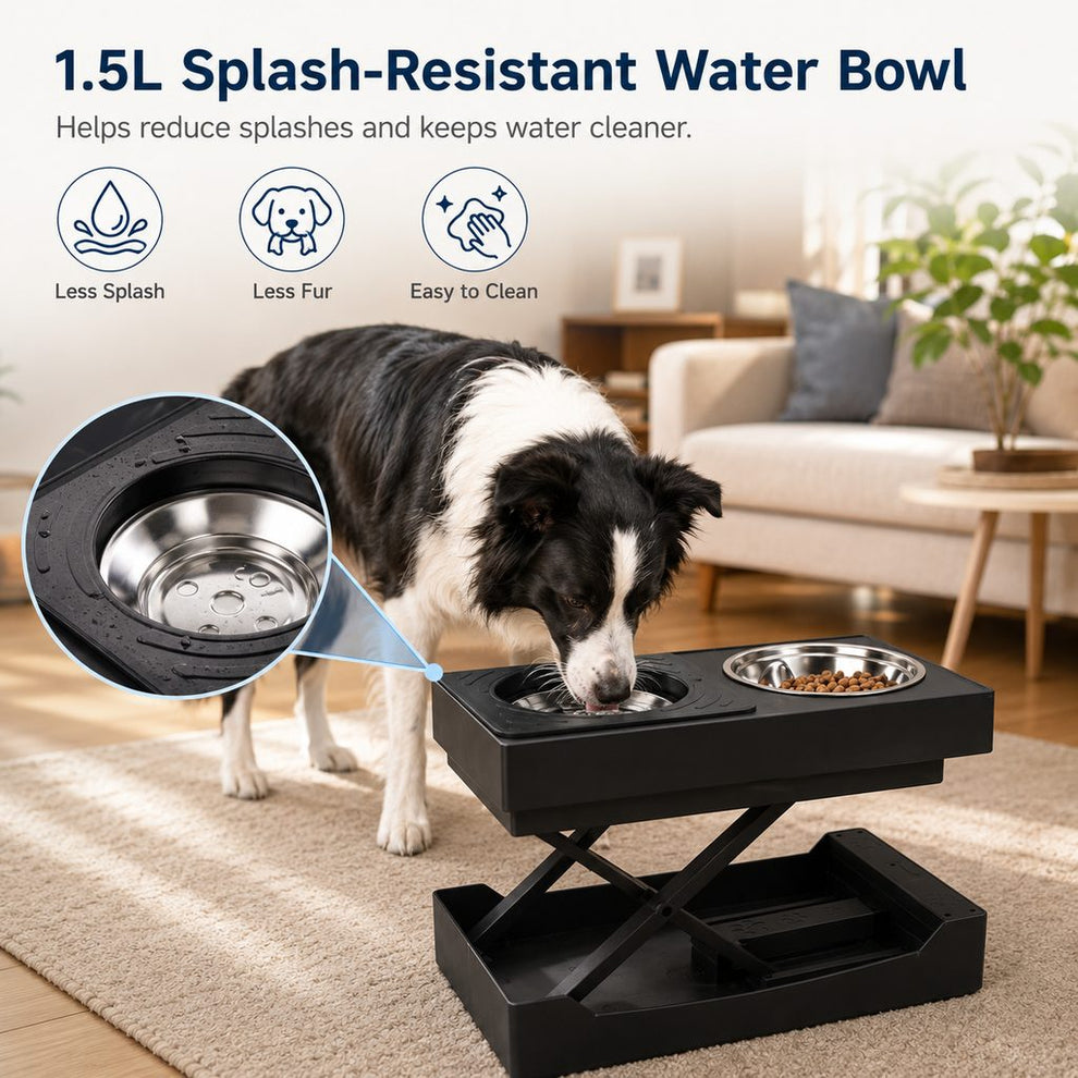 Paws in Awe Remote-Control Adjustable Dog Feeding Station for Home Meals - Helps Reduce Neck Bending, Slow Fast Eating & Keep Floors Cleaner image 7