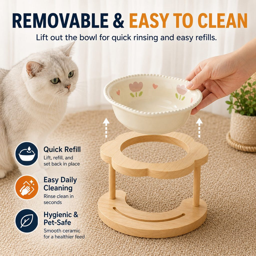 Paws in Awe Elevated Ceramic Pet Bowl with Wooden Stand for Cats & Small Dogs image 3