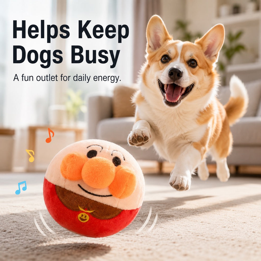 removable core plush dog ball usb charging