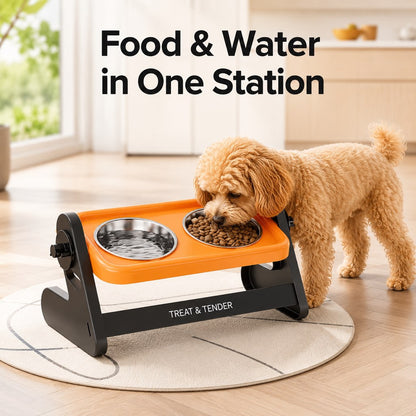 Removable stainless steel pet food and water bowls