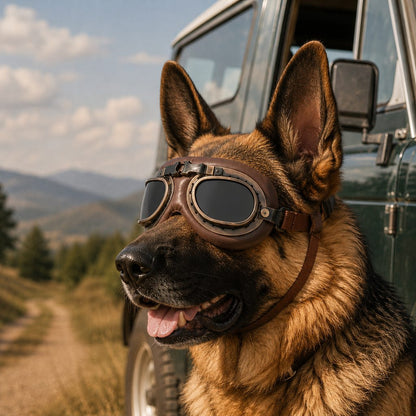 Antique Brown Bronze Smoke Gray dog goggles
