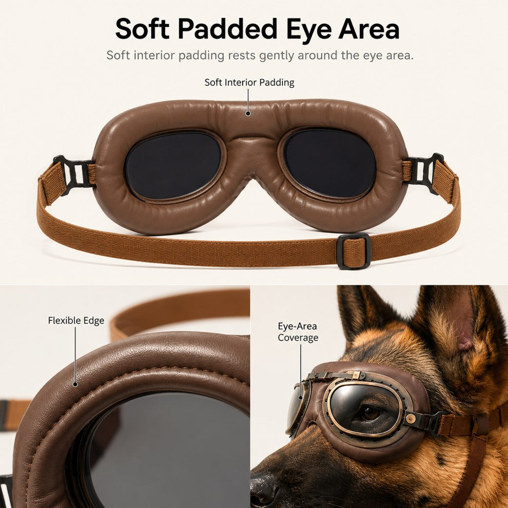 Soft padded eye area dog goggles feature image