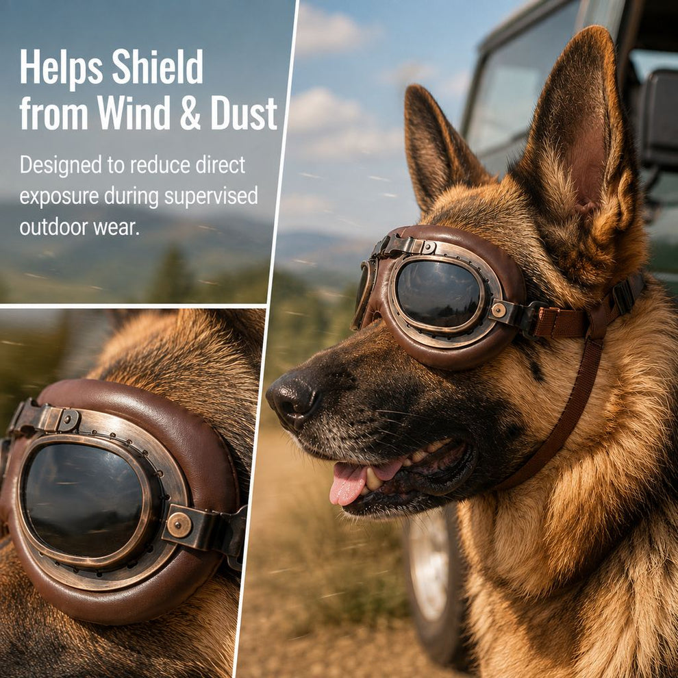 Dog goggles helps reduce wind and dust exposure image