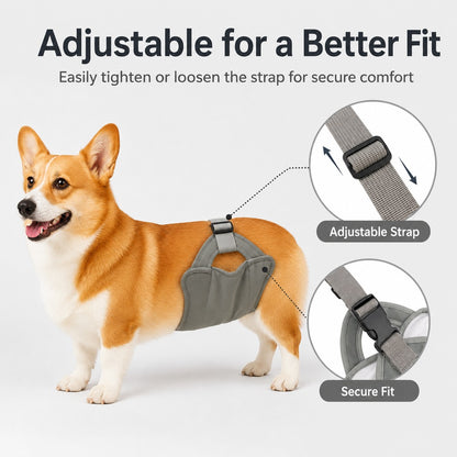 Paws in Awe Reusable Female Dog Diaper for Heat Cycles - Adjustable Washable Sanitary Pants for Home & Travel image 3