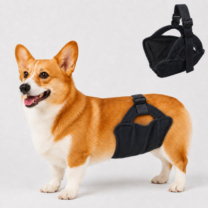 Paws in Awe Reusable Female Dog Diaper for Heat Cycles - Adjustable Washable Sanitary Pants for Home & Travel image 10