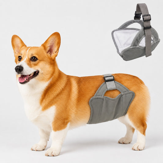 Paws in Awe Reusable Female Dog Diaper for Heat Cycles - Adjustable Washable Sanitary Pants for Home & Travel image 1