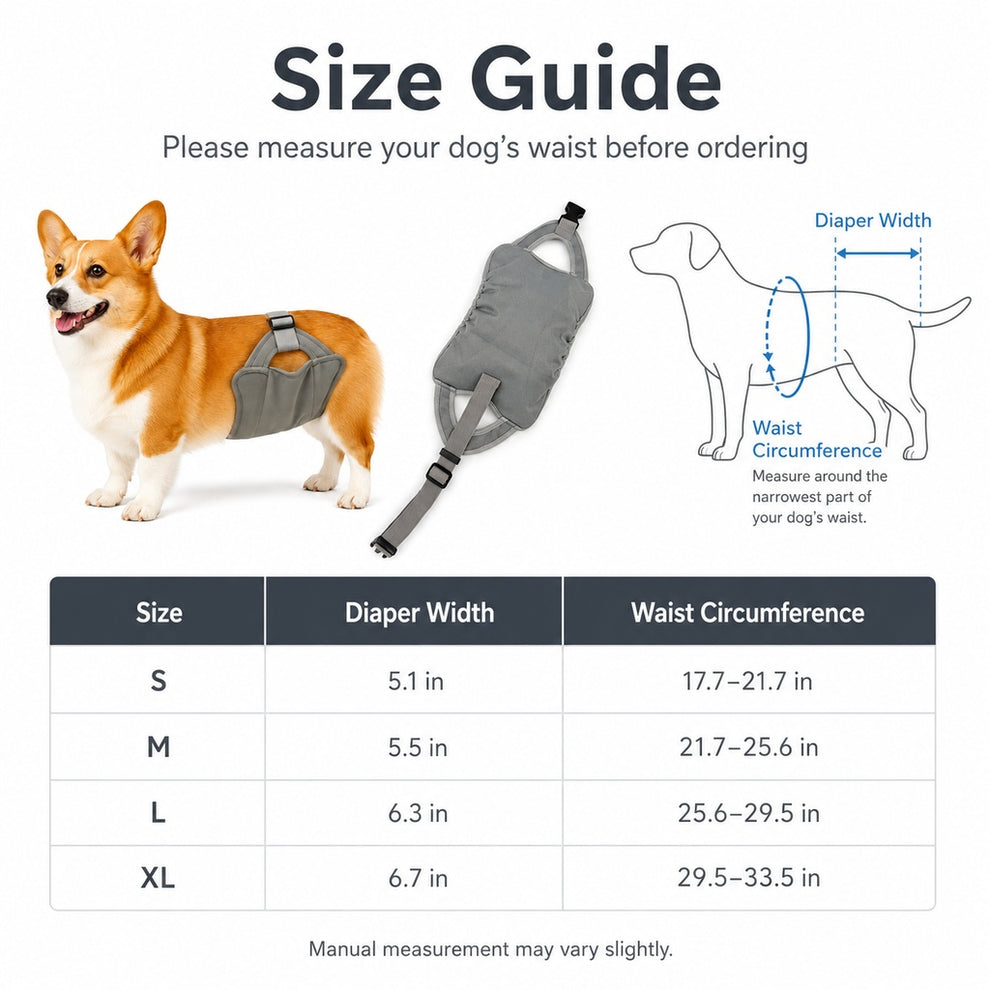 Paws in Awe Reusable Female Dog Diaper for Heat Cycles - Adjustable Washable Sanitary Pants for Home & Travel image 8