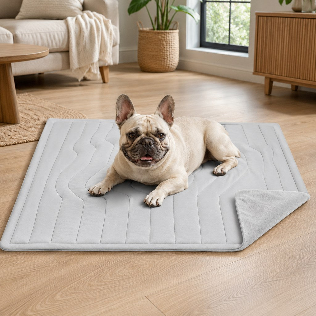 Reversible cooling-feel pet mat for dogs and cats main image
