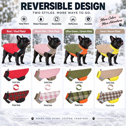 Four reversible quilted dog winter coat color combinations