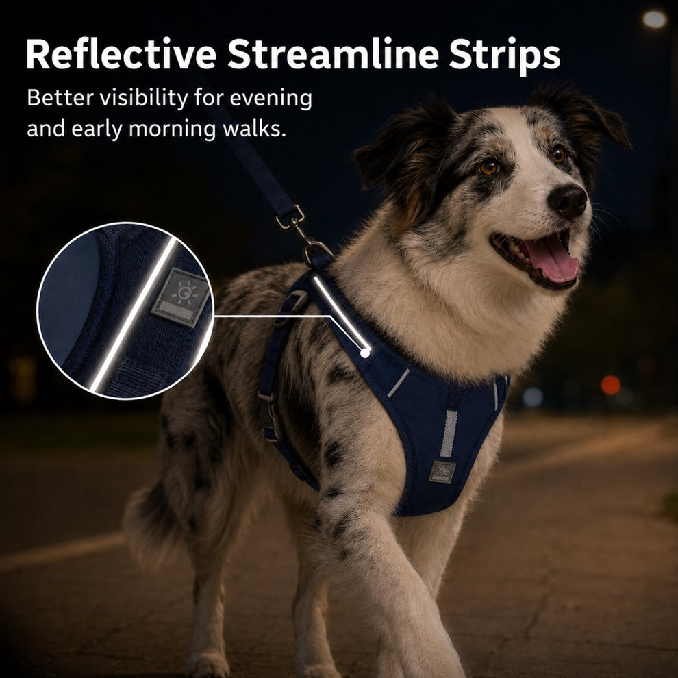 Paws in Awe Reflective Dog Harness for Night Walks, Daily Park Walks & No-Neck-Pull Comfort image 3