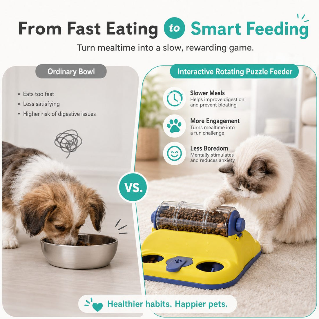 Rotating puzzle feeder comparison from fast eating to smarter feeding.