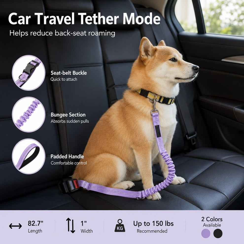 Paws in Awe Hands-Free Shock-Absorbing Dog Leash for Running, Walking & Car Travel - Bungee Leash Helps Reduce Pulling image 3