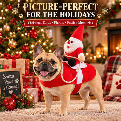 Santa rider pet costume for Christmas cards and holiday portraits