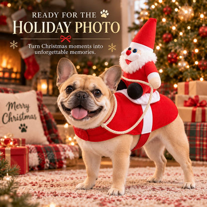 French Bulldog wearing Santa rider costume for holiday photos