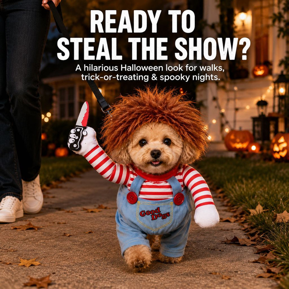 Dog Halloween costume walking doll illusion set