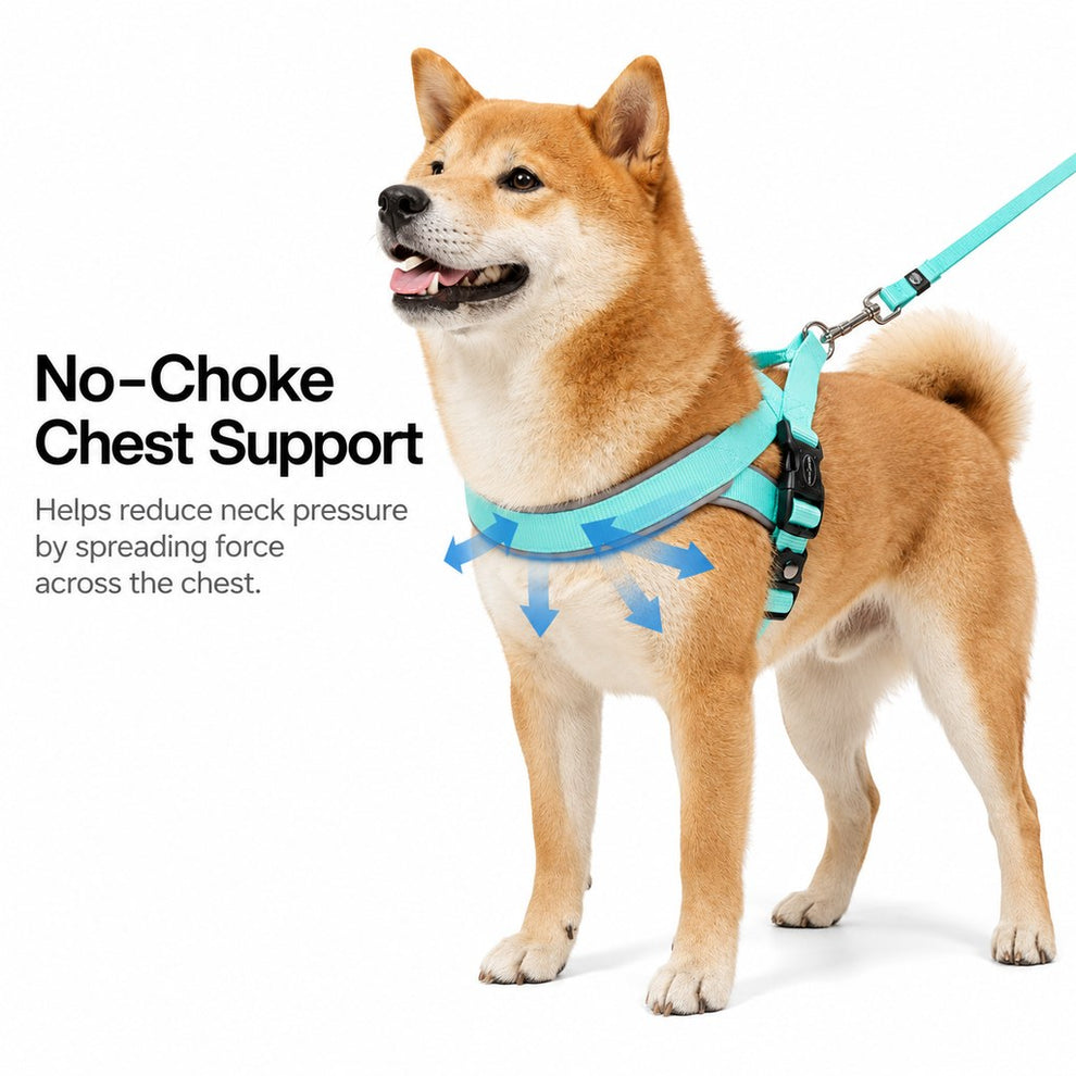 Paws in Awe Quick-Fit Lightweight Dog Harness & Leash Set for Daily Walks - No-Choke Step-In Comfort with Secure Buckle & Back Control Handle image 5