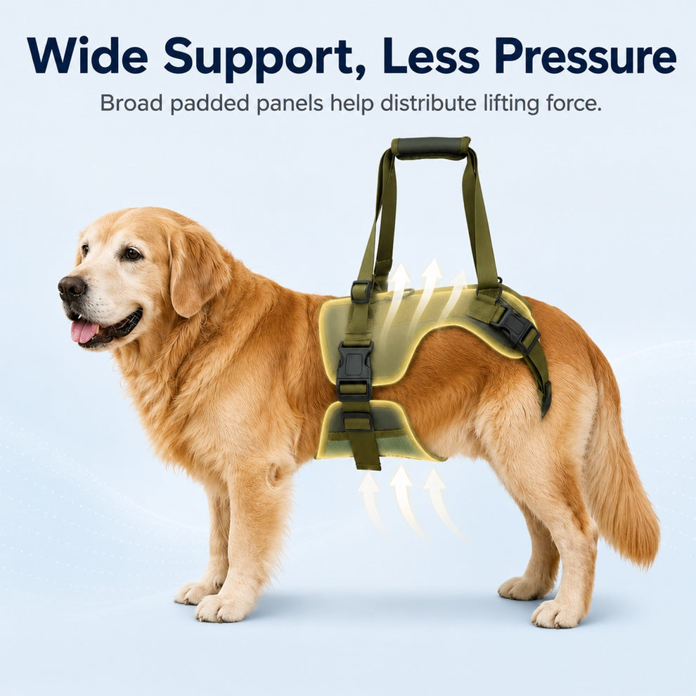 Paws in Awe Rear Support Dog Lift Harness for Stairs, Walks & Recovery - Padded Assist Harness for Senior, Injured & Weak-Hind-Leg Dogs image 3