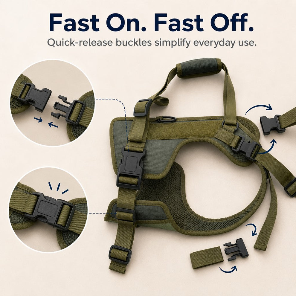 Paws in Awe Rear Support Dog Lift Harness for Stairs, Walks & Recovery - Padded Assist Harness for Senior, Injured & Weak-Hind-Leg Dogs image 7