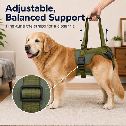 Paws in Awe Rear Support Dog Lift Harness for Stairs, Walks & Recovery - Padded Assist Harness for Senior, Injured & Weak-Hind-Leg Dogs image 4
