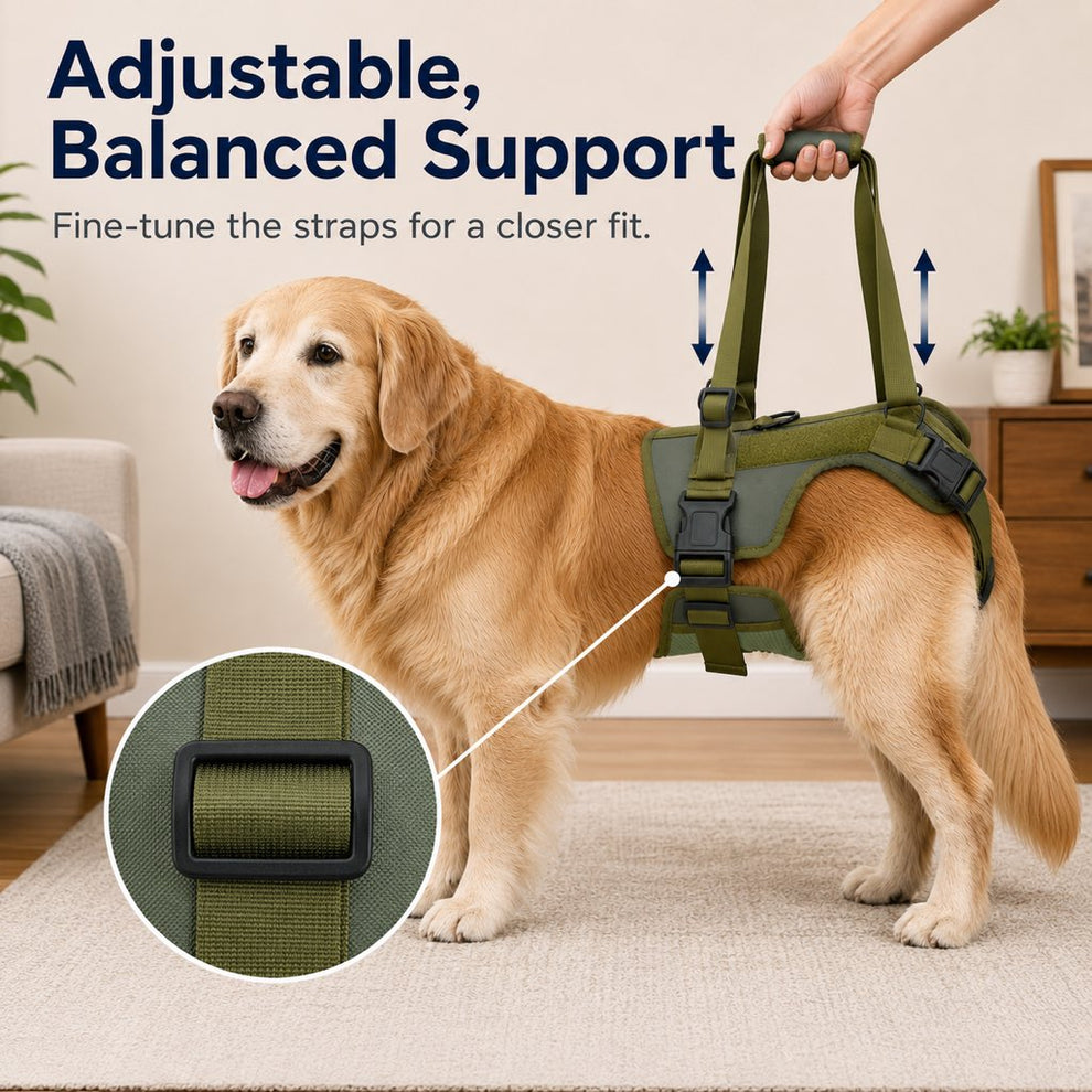 Paws in Awe Rear Support Dog Lift Harness for Stairs, Walks & Recovery - Padded Assist Harness for Senior, Injured & Weak-Hind-Leg Dogs image 4