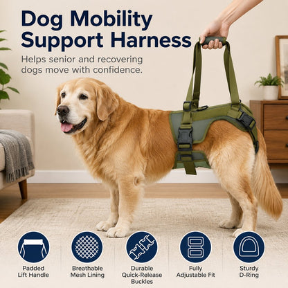 Paws in Awe Rear Support Dog Lift Harness for Stairs, Walks & Recovery - Padded Assist Harness for Senior, Injured & Weak-Hind-Leg Dogs image 6