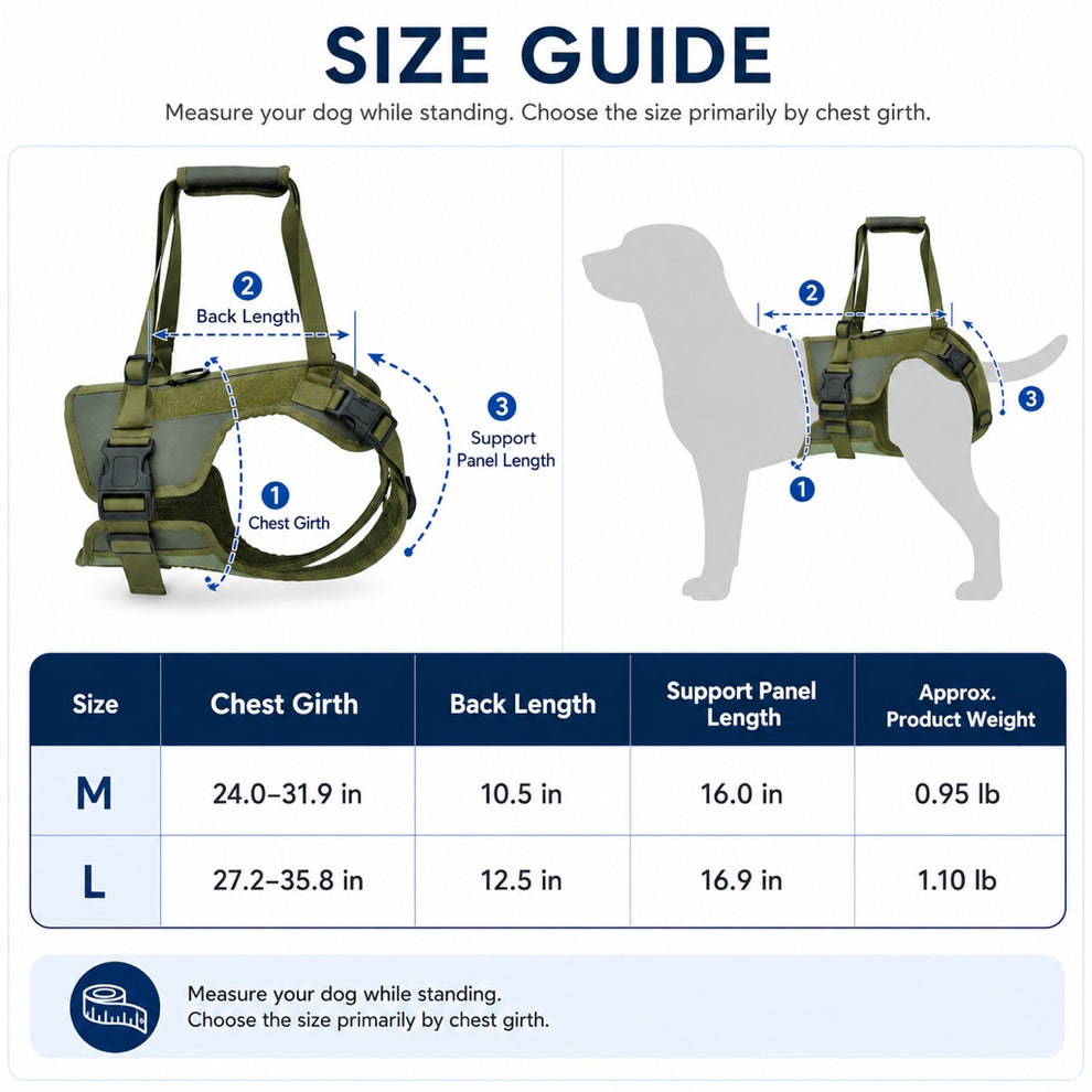 Paws in Awe Rear Support Dog Lift Harness for Stairs, Walks & Recovery - Padded Assist Harness for Senior, Injured & Weak-Hind-Leg Dogs image 9