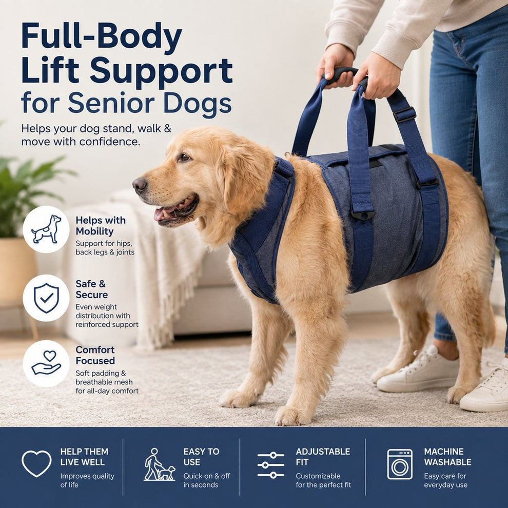 Paws in Awe Senior Dog Lift Harness for Stairs, Cars & Daily Walking - Full-Body Support for Weak Legs image 3