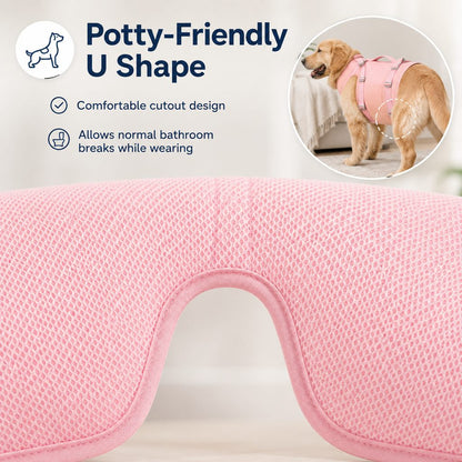Paws in Awe Senior Dog Lift Harness for Stairs, Cars & Daily Walking - Full-Body Support for Weak Legs image 5