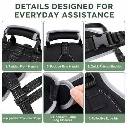 Senior dog mobility assistance harness