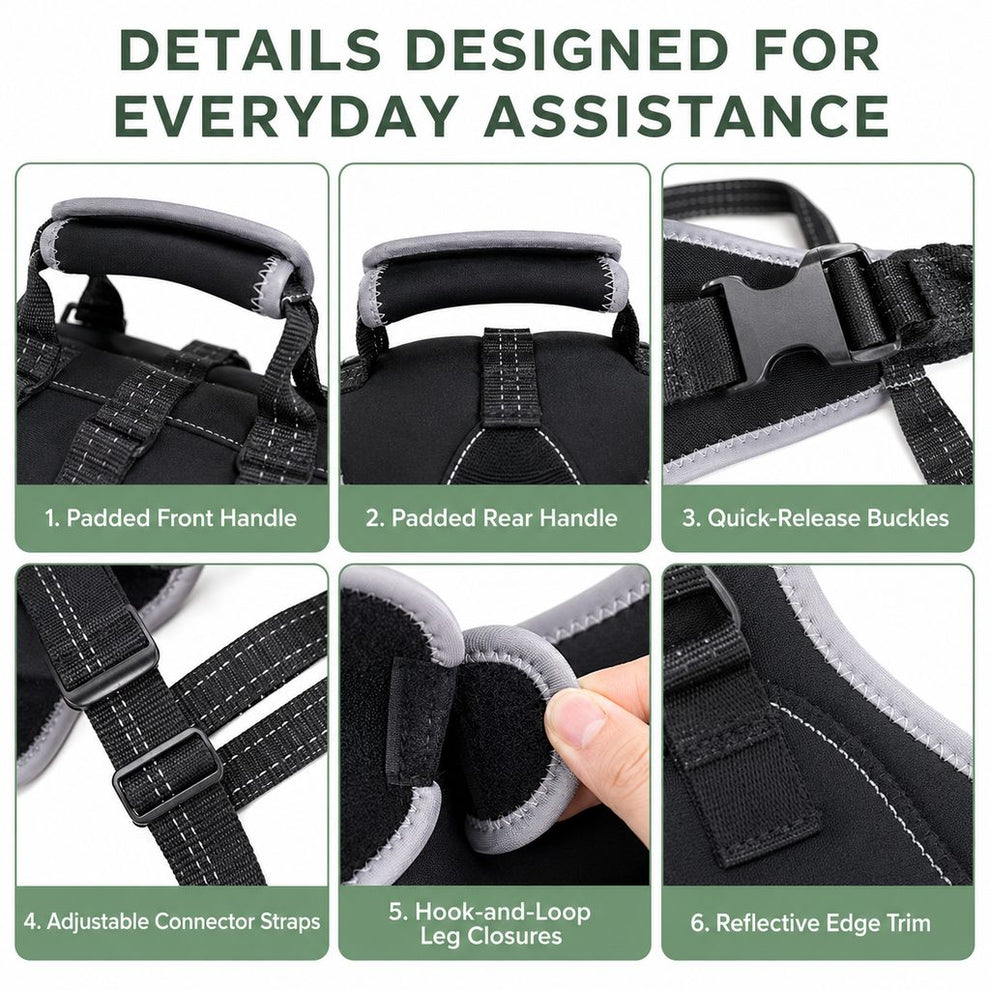 Senior dog mobility assistance harness