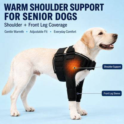 Paws in Awe Senior Dog Shoulder & Front Leg Support Brace for Cold Walks & Daily Comfort image 3