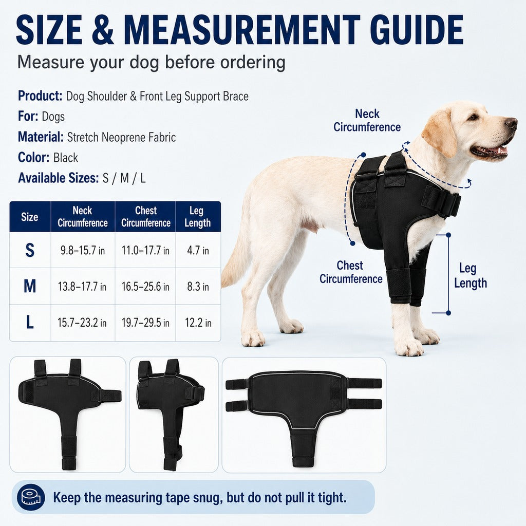 Paws in Awe Senior Dog Shoulder & Front Leg Support Brace for Cold Walks & Daily Comfort image 9