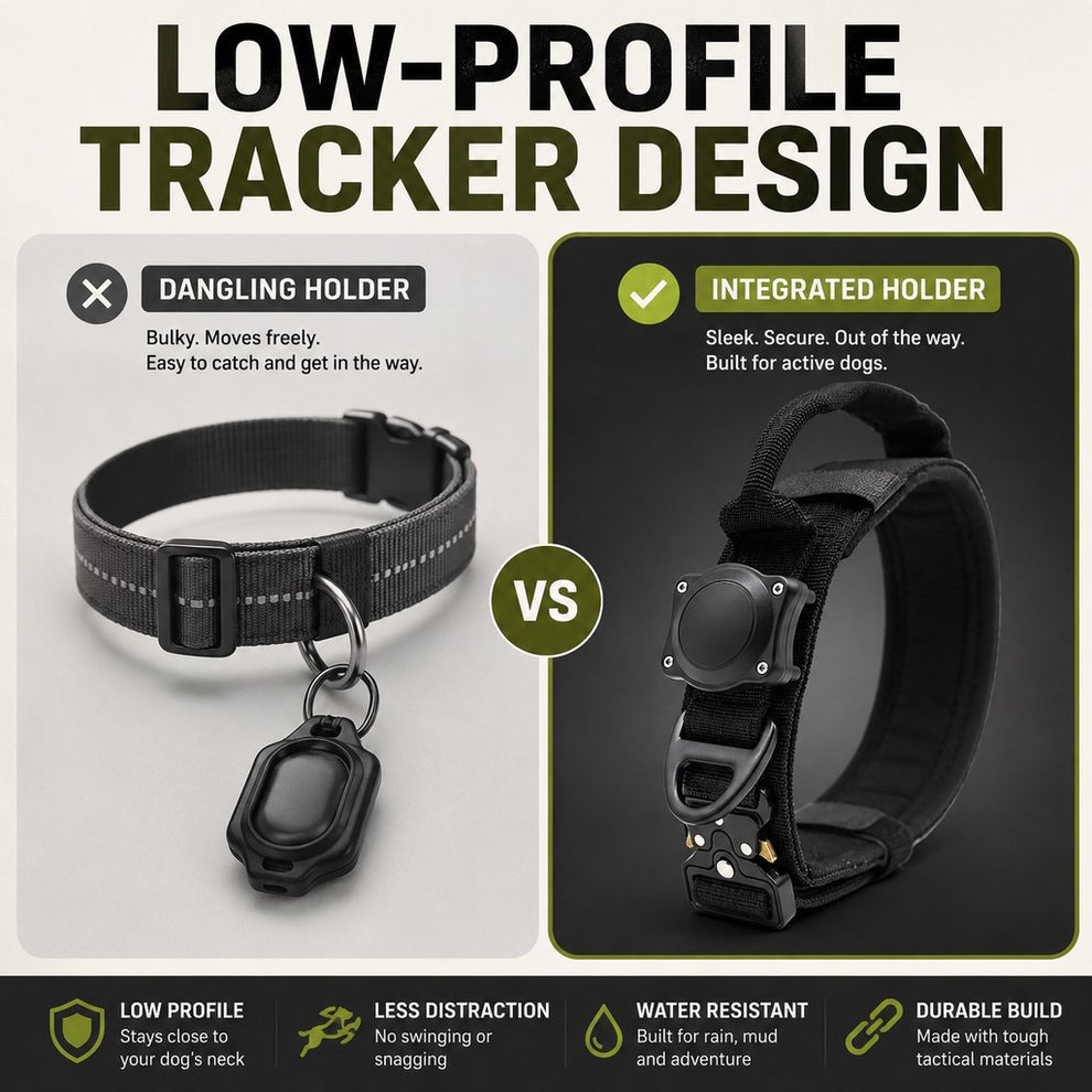 Separate leash D-ring on dog collar