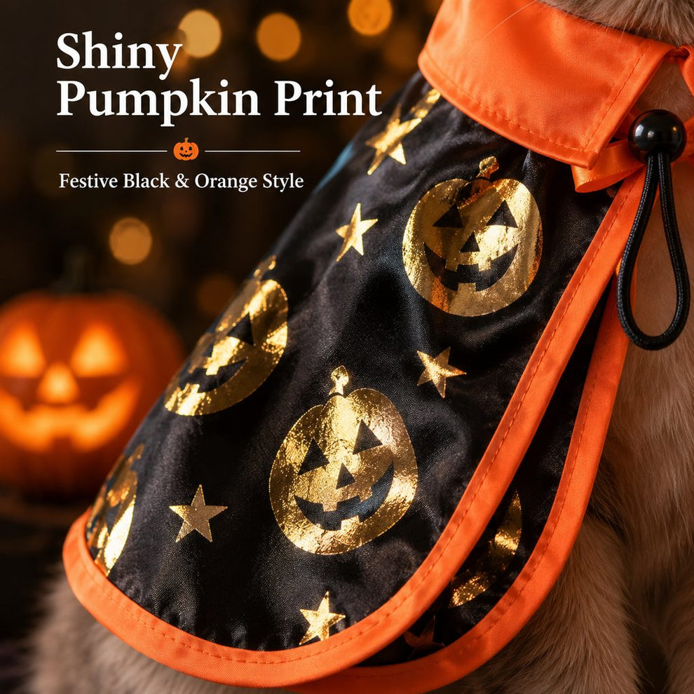 Halloween cat witch hat and cape costume set