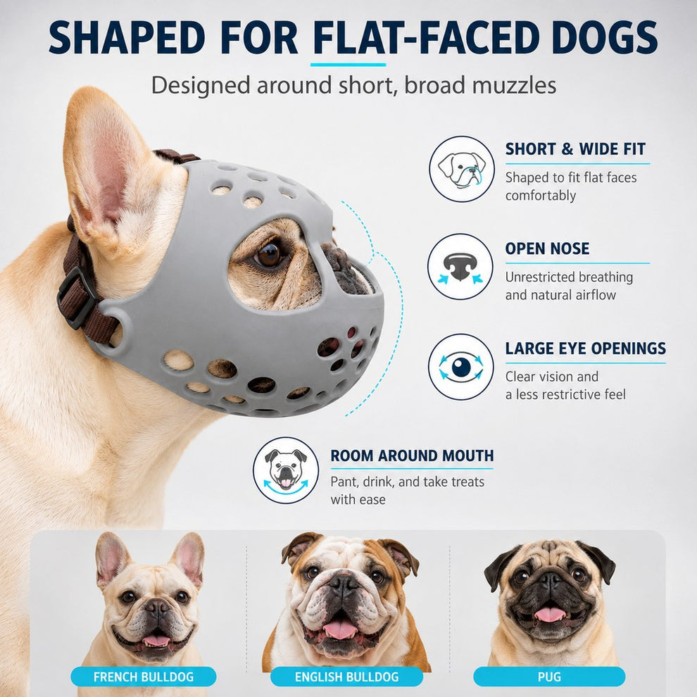 Paws in Awe Short-Snout Dog Muzzle for French Bulldogs - Breathable No-Bite & Anti-Scavenging Muzzle for Walks, Grooming and Daily Care image 6