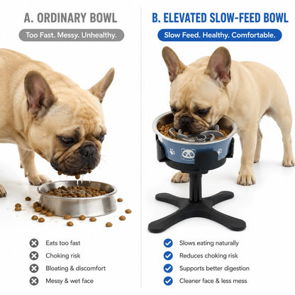 Size guide for adjustable elevated tilted dog bowl stand