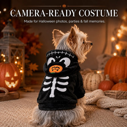 Skeleton Pumpkin Halloween pet costume hoodie on dog