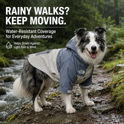 Paws in Awe Lightweight Water-Resistant Dog Windbreaker – Rain & Wind Coverage for Chilly Walks image 2