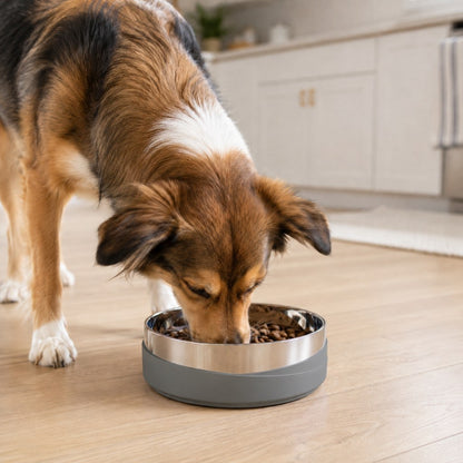 Smoke gray weighted pet bowl for dog feeding