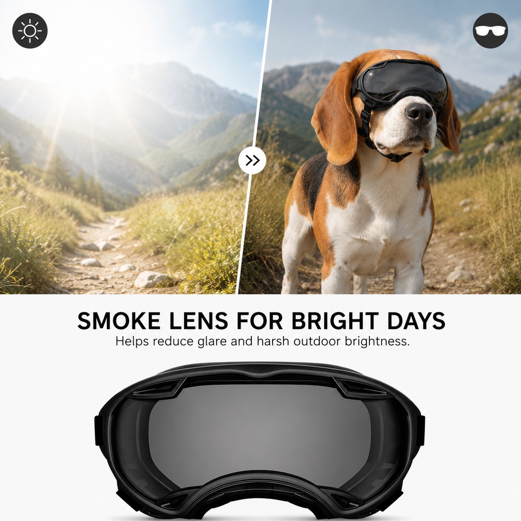 Smoke lens dog goggles for bright outdoor conditions