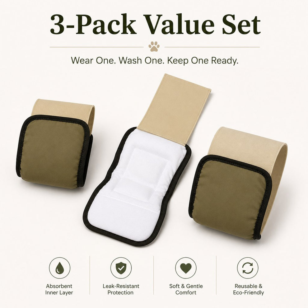 Paws in Awe 3-Pack Washable Male Dog Belly Bands for Indoor Marking & Senior Dribbles - Reusable Dog Diaper Wraps to Protect Floors & Furniture image 4