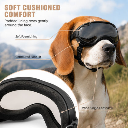 Soft cushioned lining on outdoor dog goggles