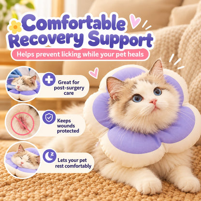 Purple flower recovery collar for supervised at-home recovery