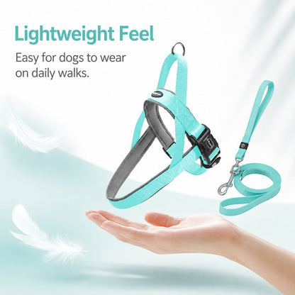 Paws in Awe Quick-Fit Lightweight Dog Harness & Leash Set for Daily Walks - No-Choke Step-In Comfort with Secure Buckle & Back Control Handle image 6