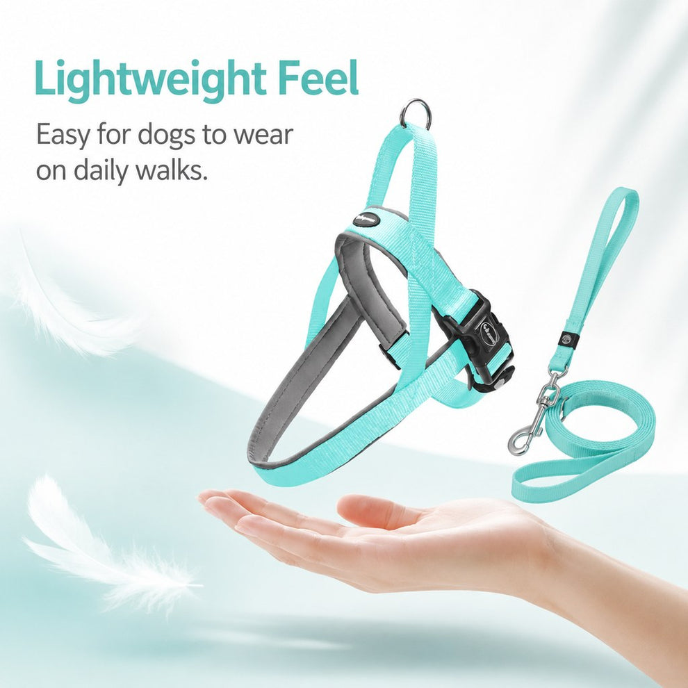 Paws in Awe Quick-Fit Lightweight Dog Harness & Leash Set for Daily Walks - No-Choke Step-In Comfort with Secure Buckle & Back Control Handle image 6