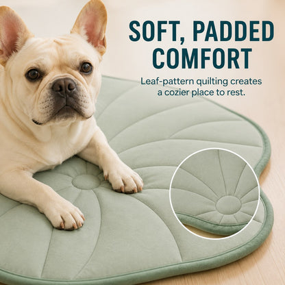 Soft padded lotus leaf pet mat comfort surface
