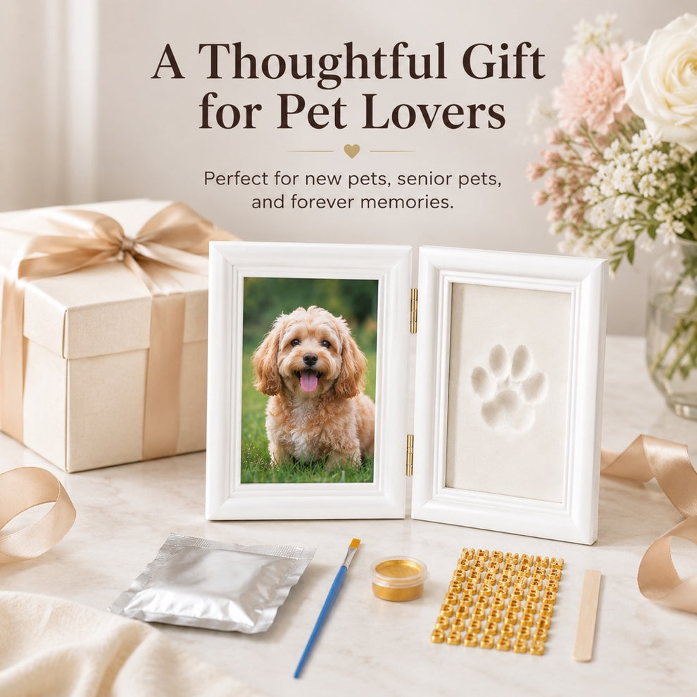 Soft pink clay pet paw print kit