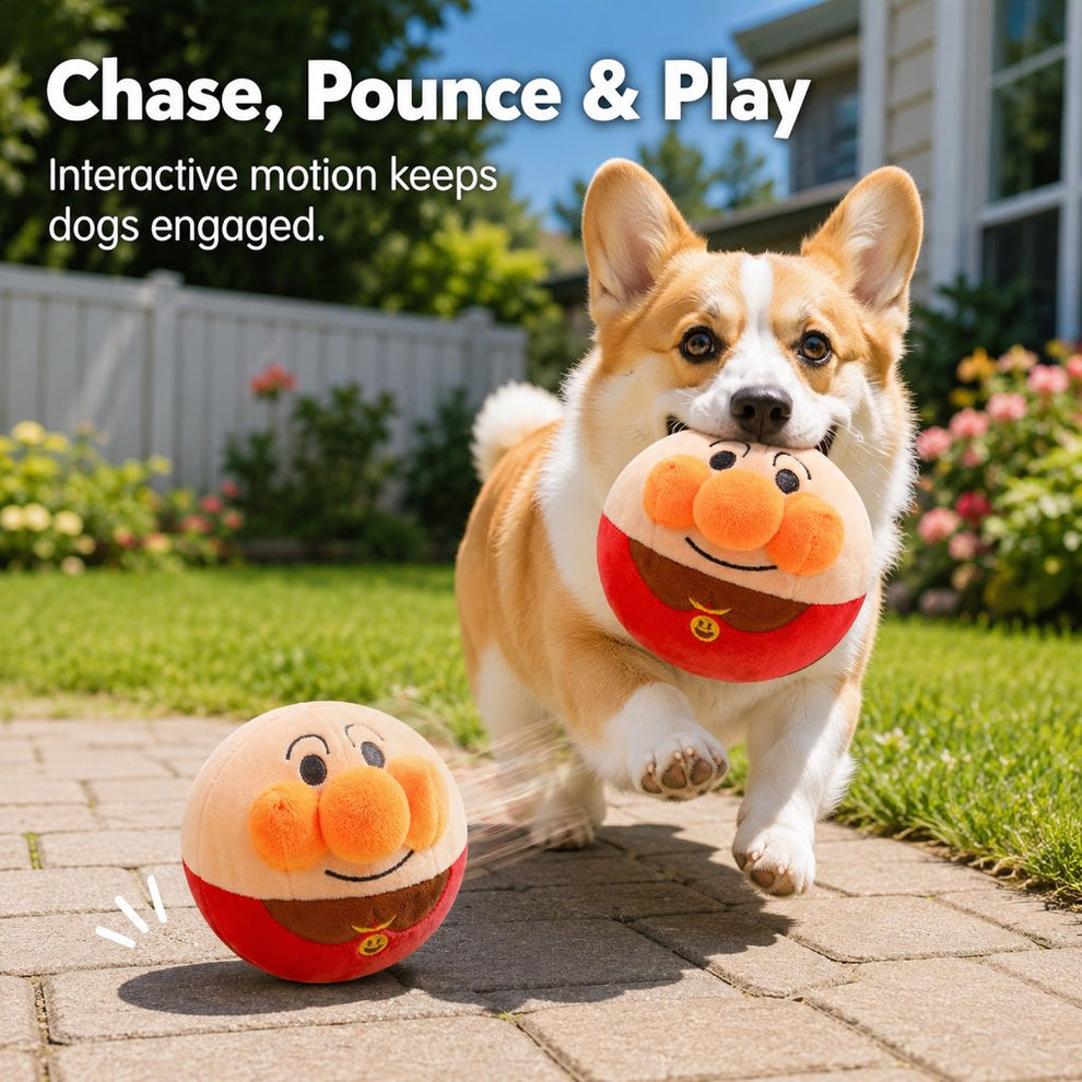 soft plush dog toy for indoor chase play