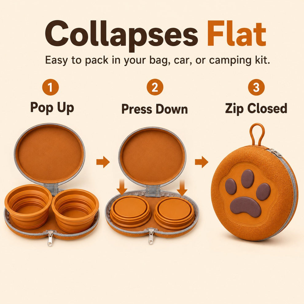 Paws in Awe Paw-Shaped Collapsible Pet Travel Bowl Set for Walks, Camping & Road Trips - Feed Anywhere Without Bulky Bowls image 6