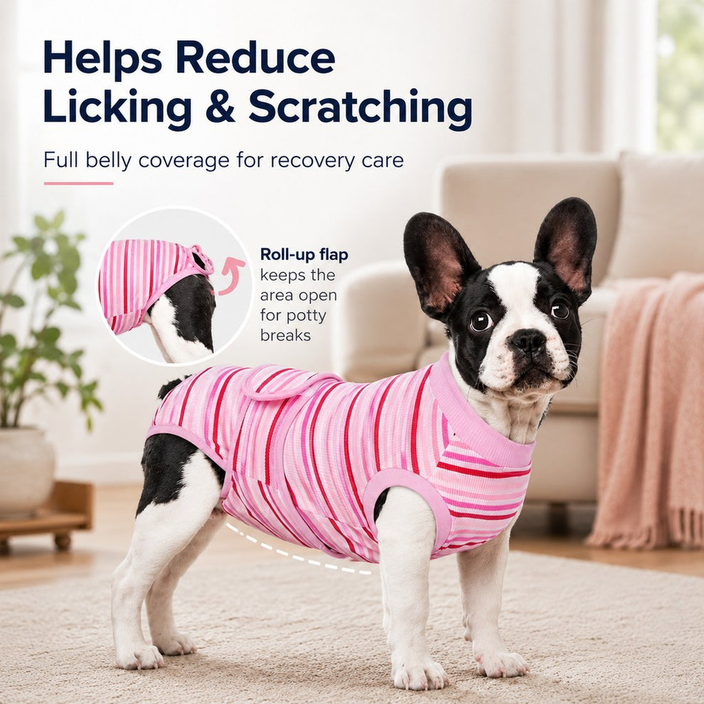 Paws in Awe Breathable Dog Recovery Suit for Spay & Neuter Recovery, Soft Cone Alternative Onesie to Help Reduce Licking After Surgery image 4